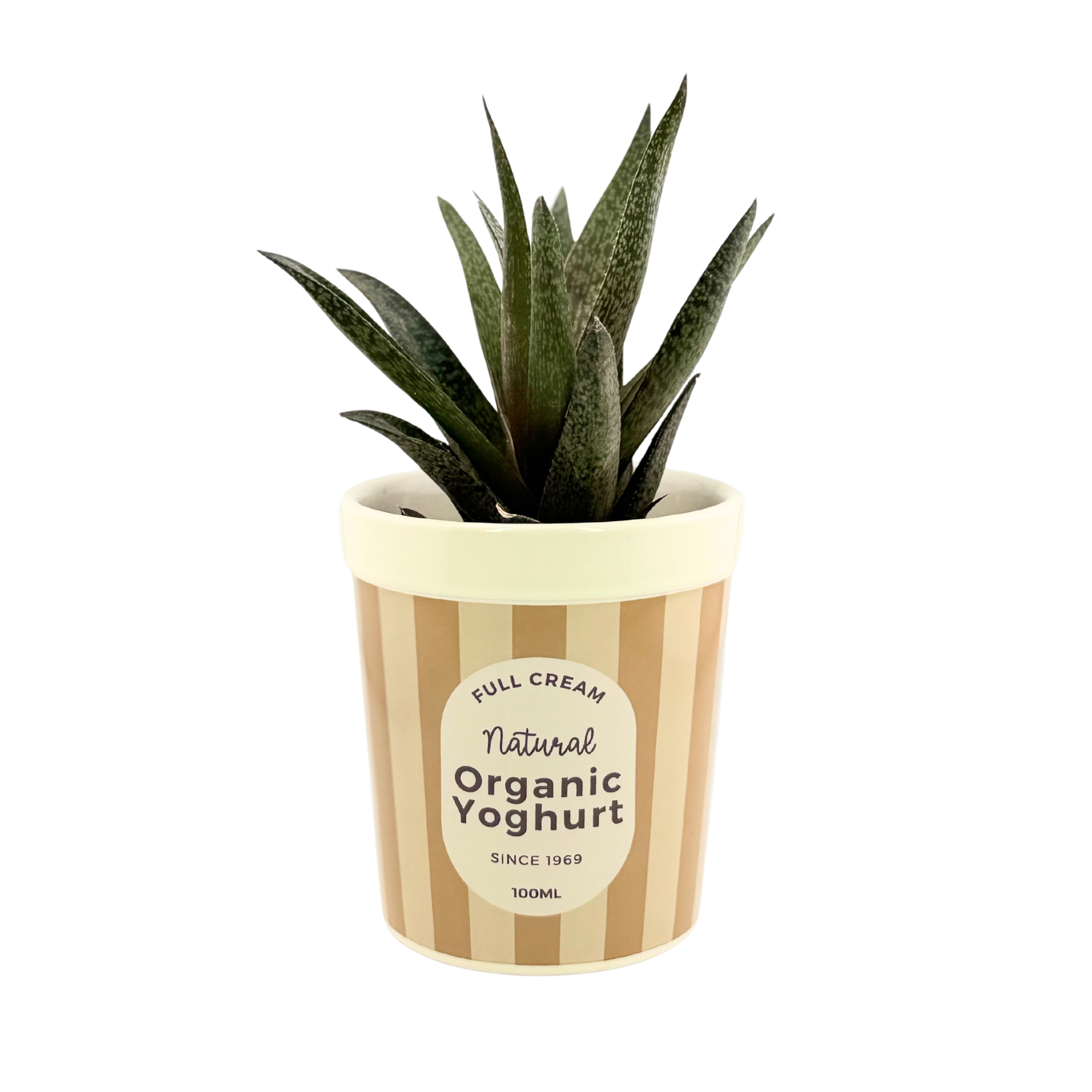 Blumentopf „Yoghurt Cup“ – Deko zum Verwechseln