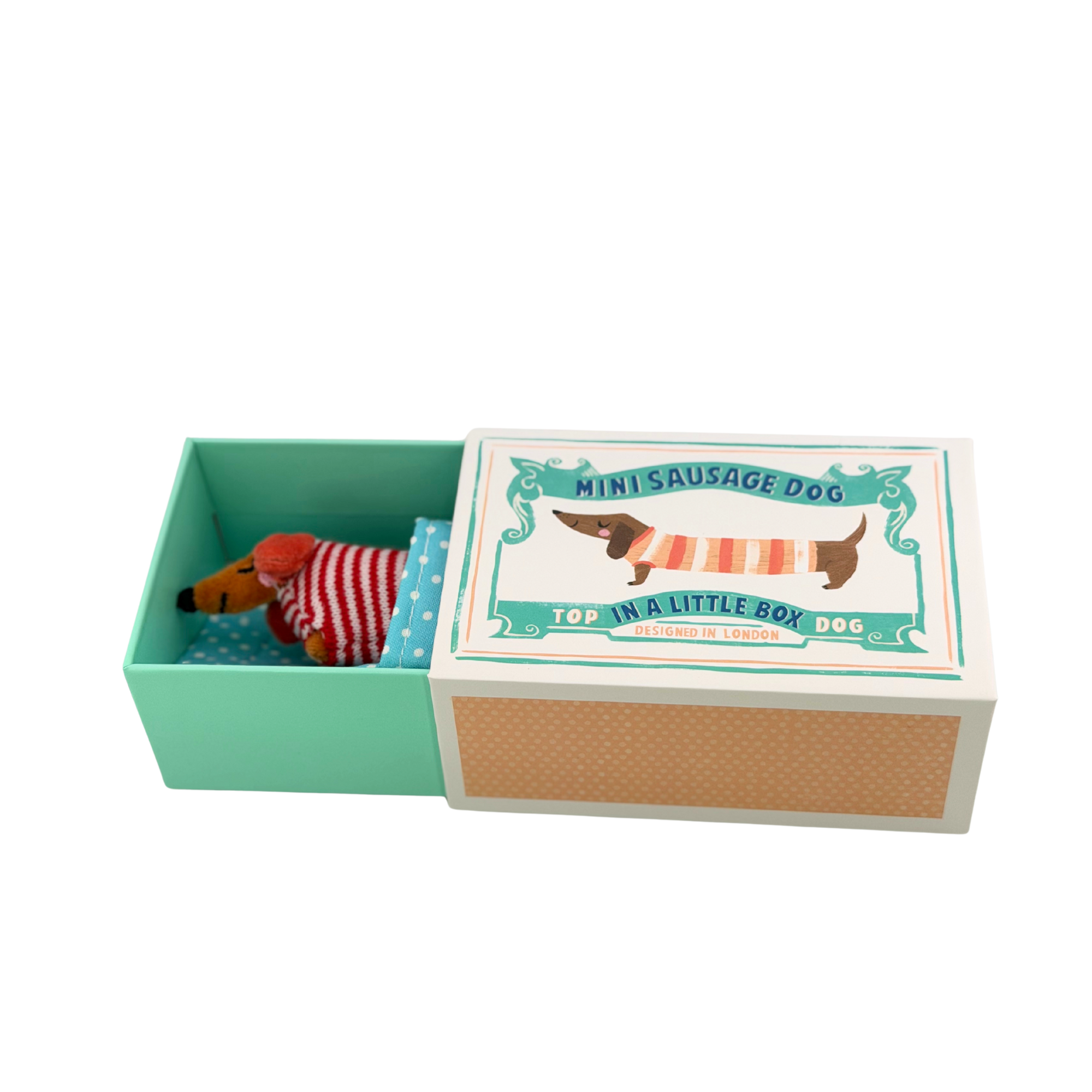 Mini Sausage Dog Dackel in einer kleinen Box