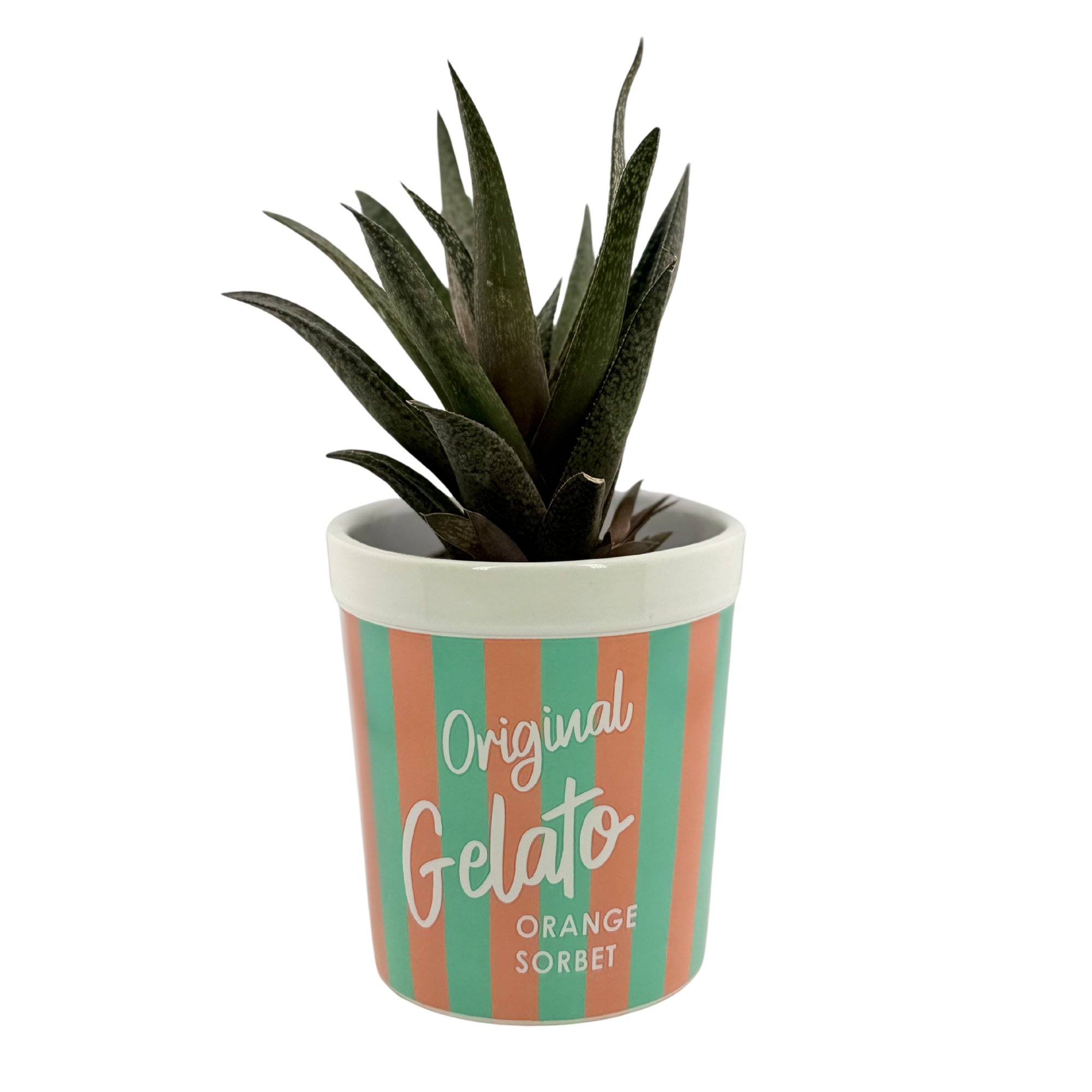 Blumentopf „Gelato“ – Eisbecher für deine Pflanzen