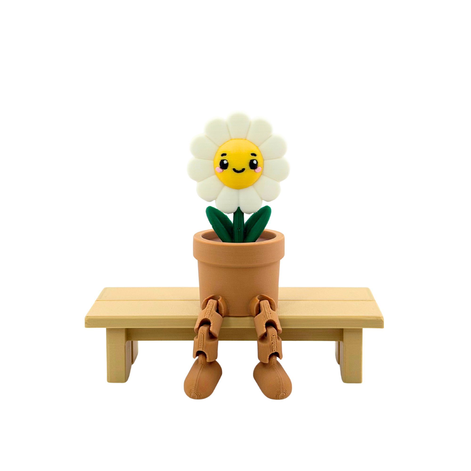 Gänseblümchen Männchen