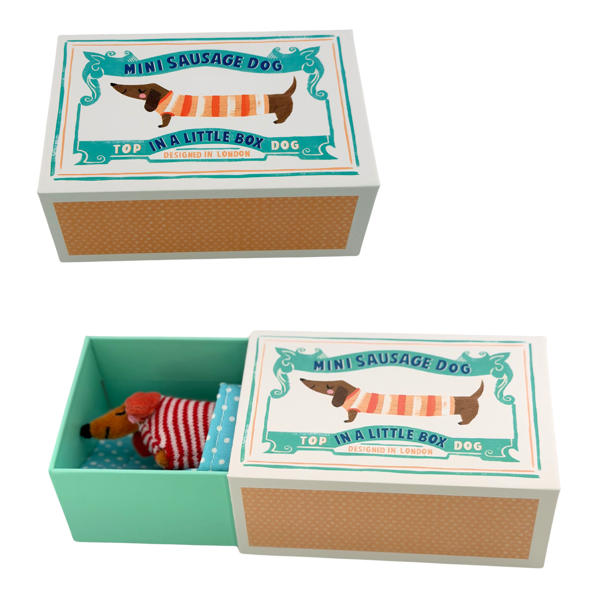 Mini Sausage Dog Dackel in einer kleinen Box
